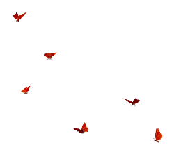 Red Butterflies - nature - Transparent Layer PNG