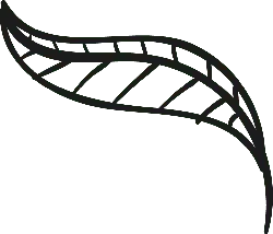 Leaf - green - Free Download PNG