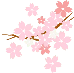 Cherry Blossom Branch - nature - High Download Count PNG