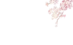 Pink Cherry Blossoms - pink - Designer Recommended PNG