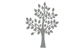 Tree - growth - ecology - PNG Images