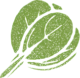 Cabbage - healthy - delicious - No Background PNG