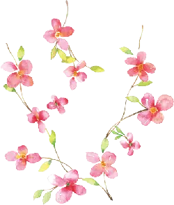Pink Flowers - plant - No Background PNG