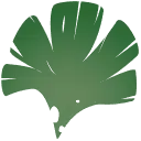 Ginkgo Biloba Leaf - green - Recommended PNG