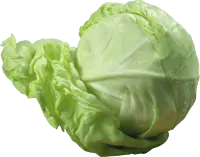 Cabbage - nutritious - Free PNG