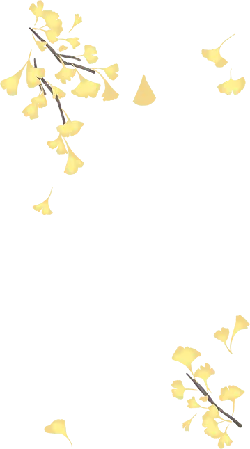 Ginkgo Leaves - black background - Transparent Layer PNG