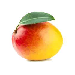 Mango - fruit - High Resolution PNG