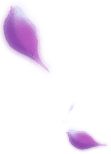 Purple Petals - High Download Count PNG