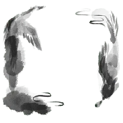Abstract Artwork - smoke - lines - Free Download PNG