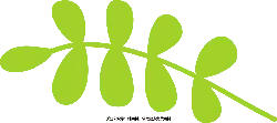 Clover - nature - simple - High Resolution PNG