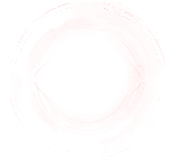 Red Circular Object - High Quality PNG