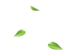 Falling Green Leaves - nature - background - Transparent Layer PNG