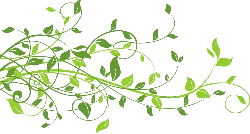 Green Vine Pattern - High Resolution PNG