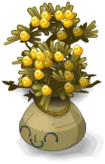 Flowers in a Vase - ornament - No Watermark PNG