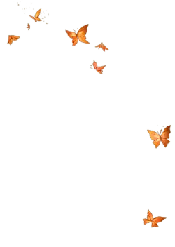 Orange Butterflies - lights - Free Download PNG