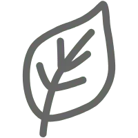 Leaf - Designer's Pick PNG - Highly Rated PNG