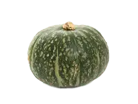 Pumpkin - green - round - PNG