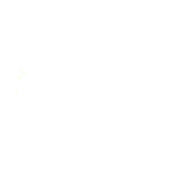 White Butterfly - High Download Count PNG