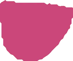 Pink Irregular Shape - geometric shape - Free PNG