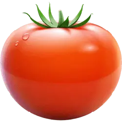 Tomato - fresh - round - Transparent Layer PNG