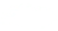 Cloud - Transparent Background PNG - white