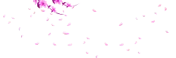 Pink Petals Falling - Transparent Background PNG - background