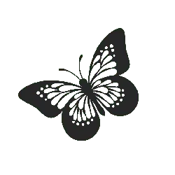 Black Butterfly - insect - PNG Images