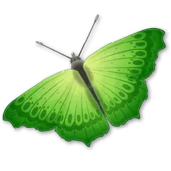 Green Butterfly - nature - PNG Images
