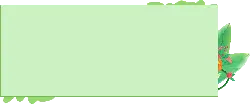 Leaf Border - PNG
