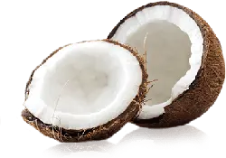 Coconut - healthy - Free PNG