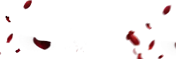 Red Petals - High Download Count PNG - petal