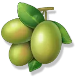 Olive - High Resolution PNG