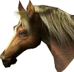 Horse - brown mane - No Background PNG
