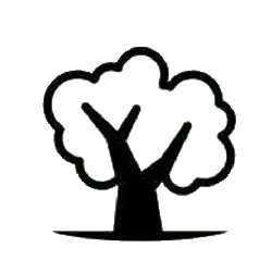Tree - growth - plant - Free PNG