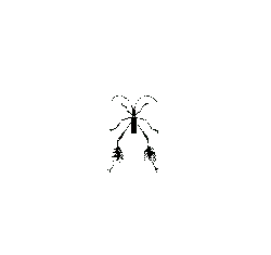Black Owl - nocturnal animal - Designer's Pick PNG - Pic 4
