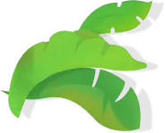 Three Green Leaves - Recommended PNG
