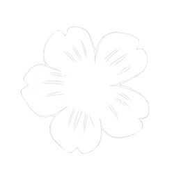 Four Leaf Clover - symbol - Free for Commercial Use PNG