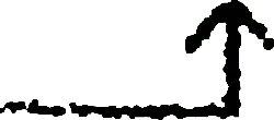 Black Owl - bird - PNG - Pic 7