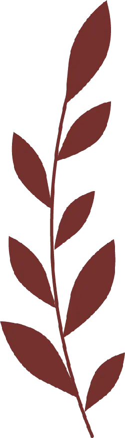 Brown Leafy Branch - nature - PNG