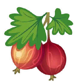 Grape - Free Download PNG