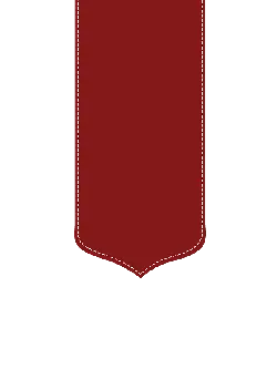 Red Shield - simple style - High Resolution PNG