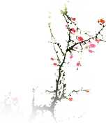 Pink Flowers - pink - beautiful - Transparent Background PNG