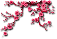 Plum Blossom - Trending PNG - High Resolution PNG