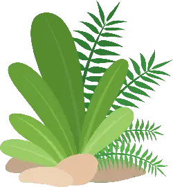 Green Plant - plant - leaves - Transparent Layer PNG
