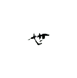 White Arrow on Black Background - No Watermark PNG