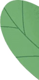 Leaf - Lossless PNG - Transparent Layer PNG