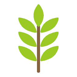 Leaf - branch - Transparent Background PNG