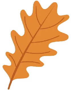 Oak Leaf - leaf - brown - Transparent Background PNG