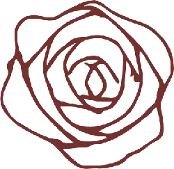 Rose - High Quality PNG - line drawing