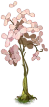 Pink Flower Tree - Lossless PNG